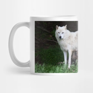 Remus and Romulus - Arctic Wolf Mug